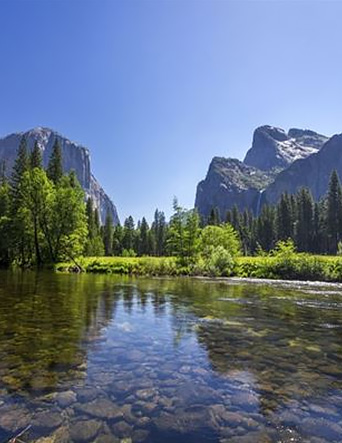 Yosemite National Park | Yosemite,CA | Apple Blossom