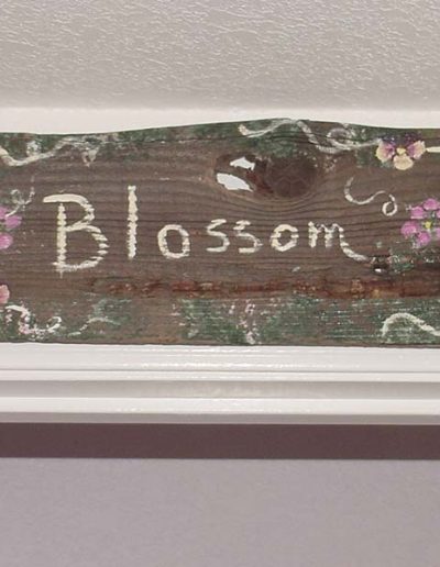 Welcome | Rooms at the Apple Blossom Inn